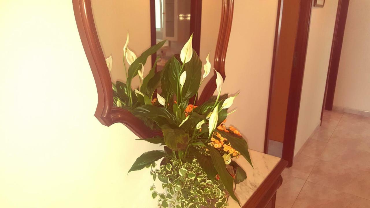 A Canteira Apartment *